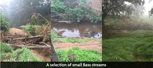 bass streams social fishing