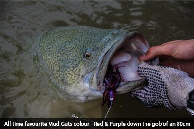 red and purple mudguts spinnerbait