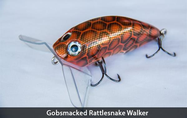 gobsmacked rattlesnake walker