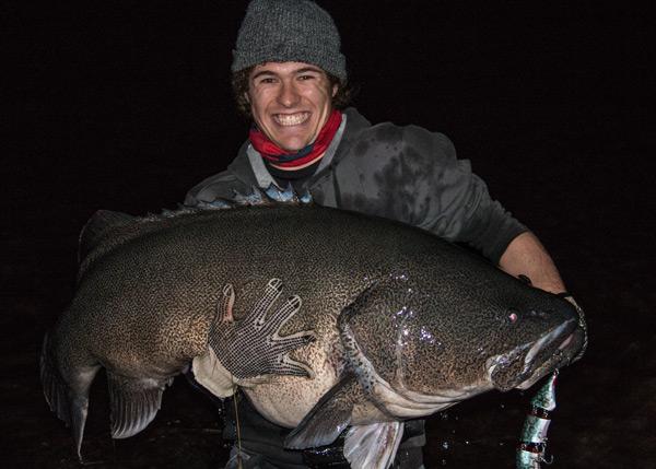 130cm blowering murray cod surface
