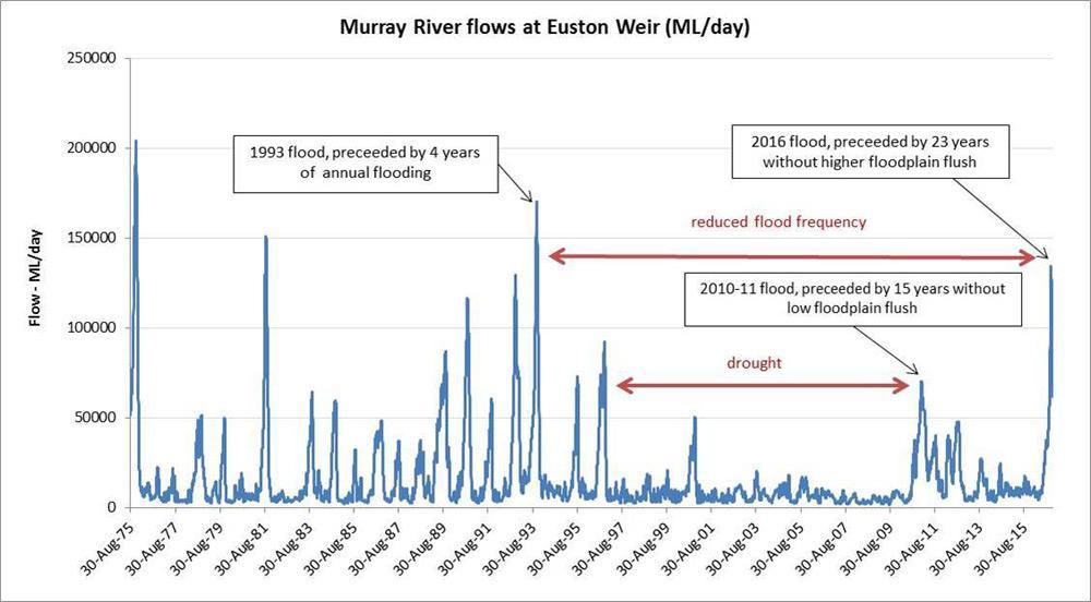 history murray river flow euston