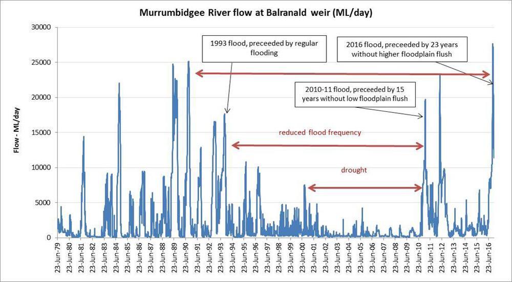 history murrumbidgee river flows