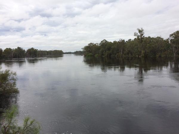 murray river mildura 2016 flood