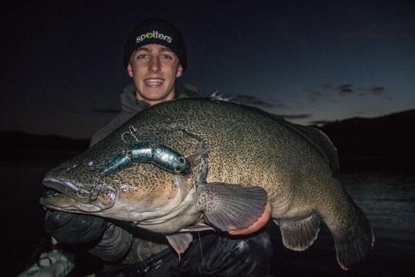 surface lures murray cod