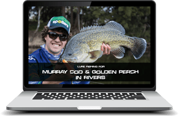 Complete Guide – Lure Fishing Series – Social Fishing