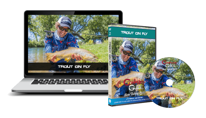 Complete Guide – Trout on Fly – Social Fishing