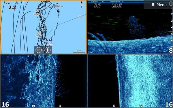 Screenshot of a fish finder/sounder that shows baitfish