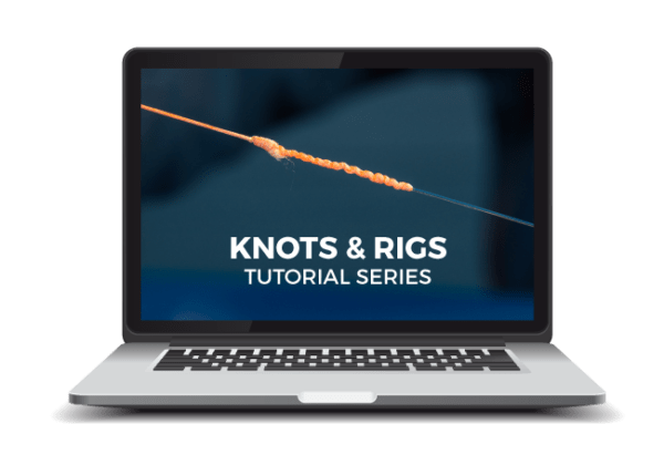 Knots Rigs Graphic